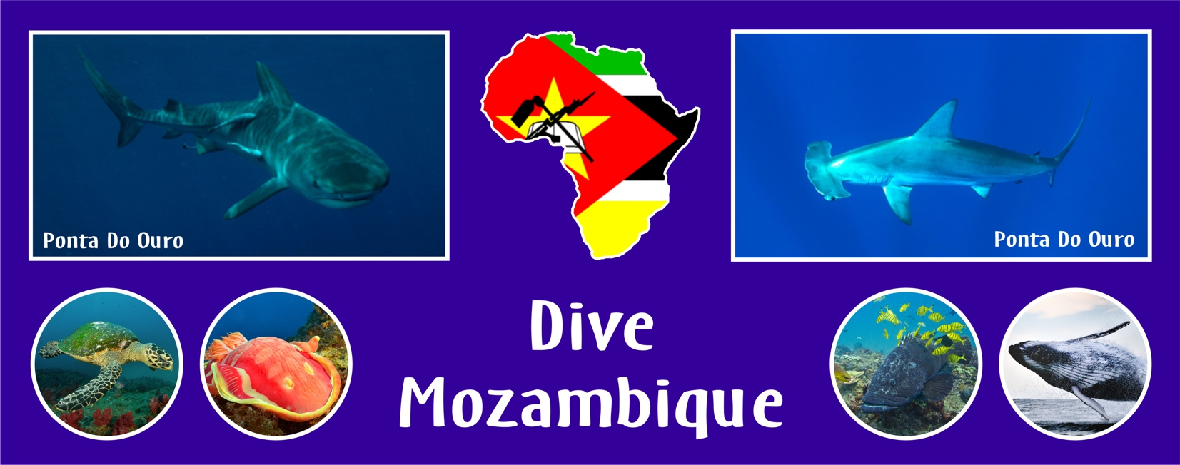 Scuba Diving in Mozambique
