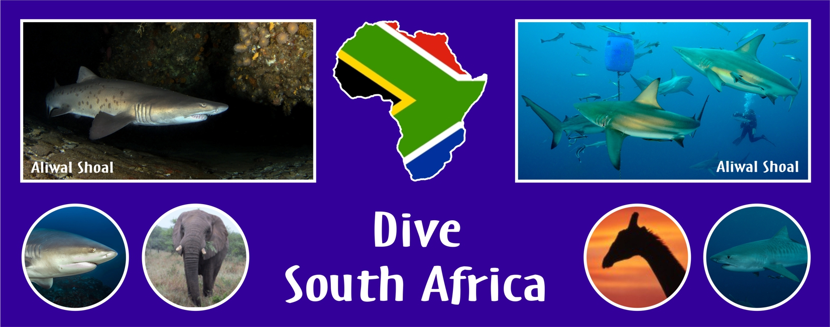 Scuba Diving in South Africa