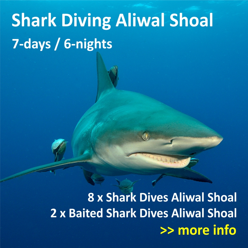 Aliwal Shoal and Protea Banks