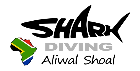 Shark Diving Aliwal Shoal