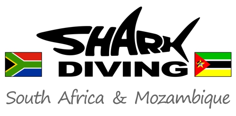 Shark Diving South Africa Mozambique