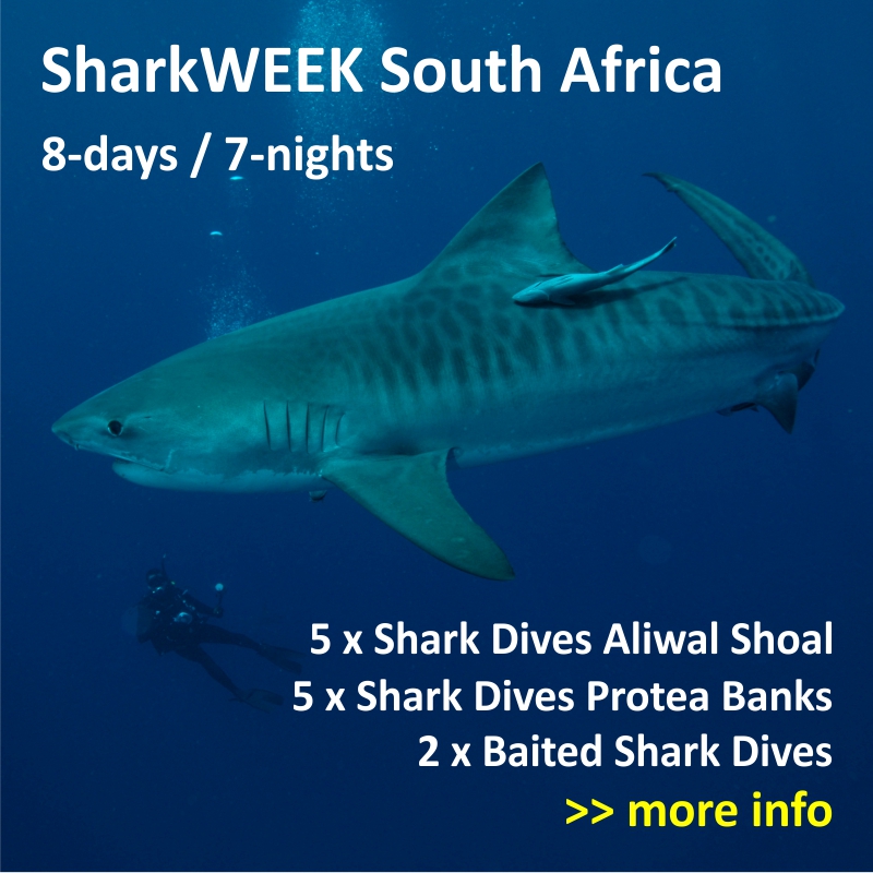 Aliwal Shoal and Protea Banks