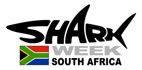 Shark Diving South Africa